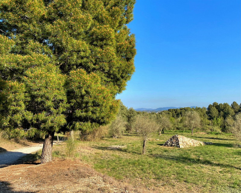 Desembre: Camí del Torrent Gran