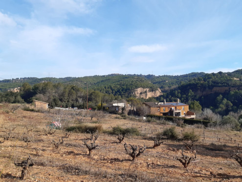 A Abrera cuidem i difonem el nostre patrimoni! Gaudim del tast d'oli becarut del Celler de Can Morral del Molí, el dissabte 14 de gener al matí