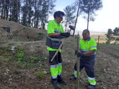 Reparem les conseqüències dels actes vandàlics al BCIL de les Trinxeres republicanes del bosc de Sant Miquel. Siguem cívics!