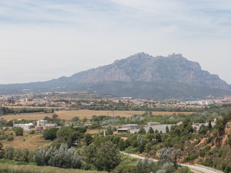 Abrera vista general