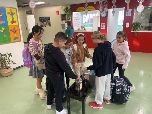 La comunitat educativa d'Abrera és solidària. Escola Josefina Ibáñez