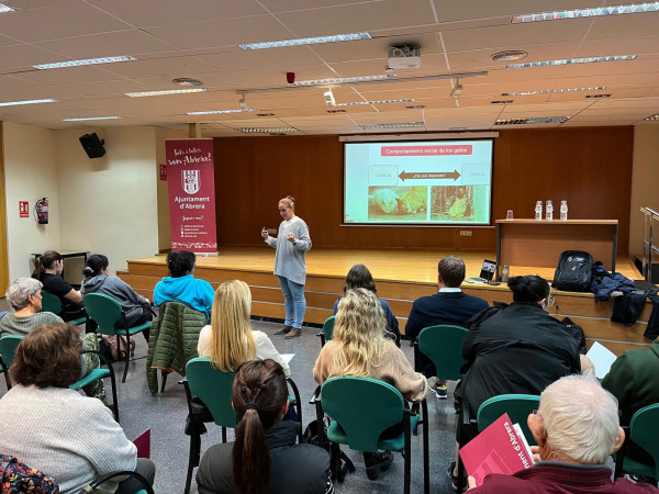 A Abrera tenim cura de les colònies de gats i duem a terme una formació per a persones voluntàries del nostre municipi