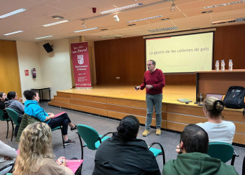 A Abrera tenim cura de les colònies de gats i duem a terme una formació per a persones voluntàries del nostre municipi