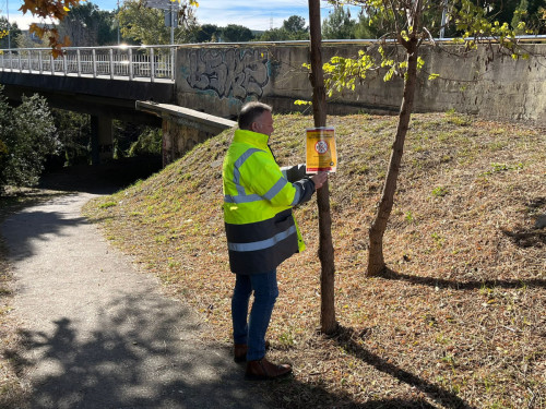 Mesures de control de la pesta porcina africana (PPA) a Abrera