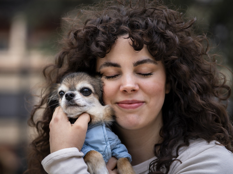 Animals de companyia