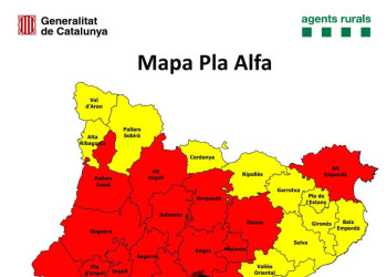 Mapa Pla Alfa 3. Divendres 31 de març de 2023