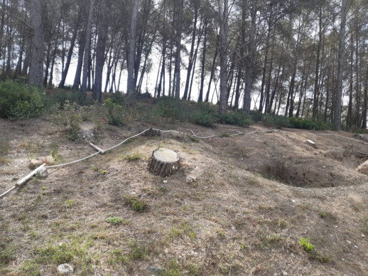 Reparem les conseqüències dels actes vandàlics al BCIL de les Trinxeres republicanes del bosc de Sant Miquel. Siguem cívics!