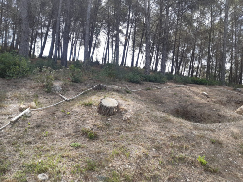 Reparem les conseqüències dels actes vandàlics al BCIL de les Trinxeres republicanes del bosc de Sant Miquel. Siguem cívics!