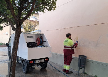 Pintades detectades a la pl. de les Escoles Velles. Actuació del servei de neteja municipal