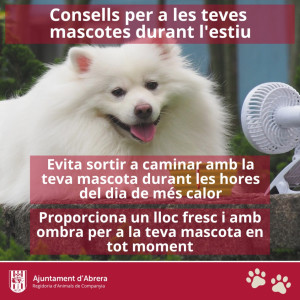 Consells per a les teves mascotes durant l'estiu